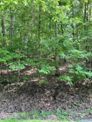 Photo of 146 Shore Lane, Crossville, TN 38558