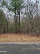 Photo of 132 Laswell Lane, Crossville, TN 38558