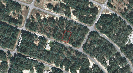 Photo of 00 FISHER WAY TRAIL, OCKLAWAHA, FL 32179