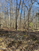 Photo of 14 Homberg Lane, Crossville, TN 38558