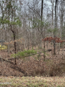 Photo of 178 Meadowview Drive, Crossville, TN 38558