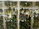 Photo of 7815 N Primrose Drive, Citrus Springs, FL 34434