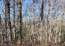 Photo of 190 Beachwood Drive, Fairfield Glade, TN 38558