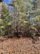 Photo of 119 Natchez Circle, Crossville, TN 38558