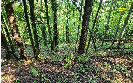 Photo of 154-5 Dogwood Circle, Hayesville, NC 28904