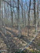Photo of 122 Hunterwood Lane, Crossville, TN 38558