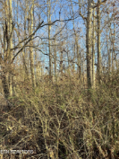 Photo of 154 Lakeshire Drive, Crossville, TN 38558