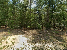 Photo of 9857 N CARAVEL TERRACE, DUNNELLON, FL 34434
