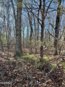 Photo of 106 Hunterwood Lane, Crossville, TN 38558
