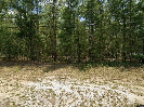 Photo of 9843 N CARAVEL TERRACE, DUNNELLON, FL 34434