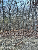 Photo of 144 Folkstone Rd, Crossville, TN 38558