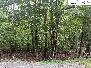 Photo of 117 Lower Grouse Ridge Road, Beech Mountain, NC 28604