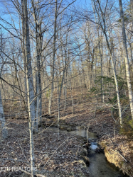 Photo of 445 Saint George Drive, Crossville, TN 38558
