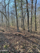 Photo of 128 Hunterwood Lane, Crossville, TN 38558