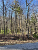 Photo of 139 Rotherham Drive, Crossville, TN 38558
