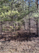 Photo of 166 Windsor Rd, Crossville, TN 38558