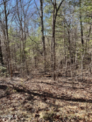 Photo of 118 Natchez Circle, Crossville, TN 38558